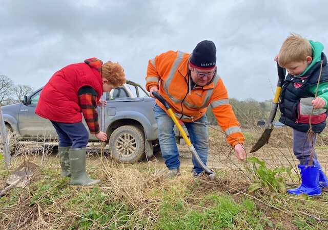 A man planting trees with his two sons.